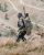 Eberlestock Prowl Pack Multicam in action