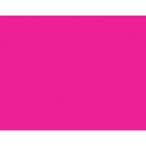 BAZIC 22" X 28" Fluorescent Pink Poster Board BAZIC 22" X 28" Fluorescent Pink Poster Board