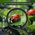 3 Inch Round 2X Bifocal Handheld Magnifier, 24 units per case