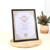 8.5x11 Document Frame with Gold Border - Wall Mount, 48 units per case