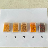 Miyuki Beads