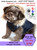 GLACIER GOLD Navy Blue KOZY COAT, Dog Coats and Parkas, Battery Heated Dog Coat GLACIER GOLD Navy Blue KOZY COAT, Dog Coats and Parkas, Battery Heated Dog Coat