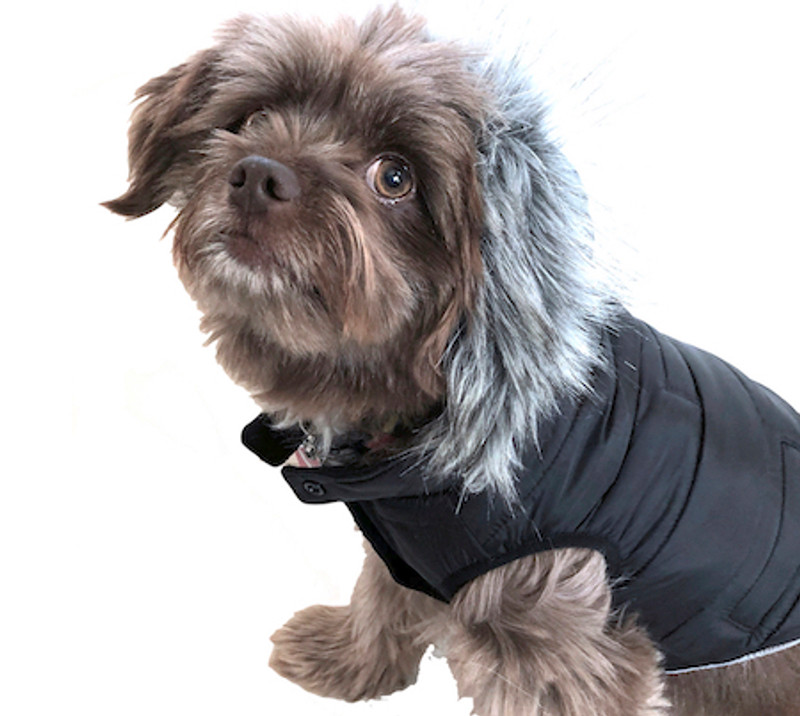 Protecting Your Pet from the Cold: Introducing KozyCoat's Heated Dog Coat Technology