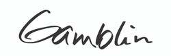 Gamblin Artists Colors