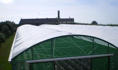 Polytunnel Polythene Film / Replacement Cover 9.2M Wide Diffused (for 14ft wide Polytunnels)