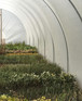 14ft x 30ft Straight Sided Polytunnel Kit, Heavy Duty Professional Greenhouse