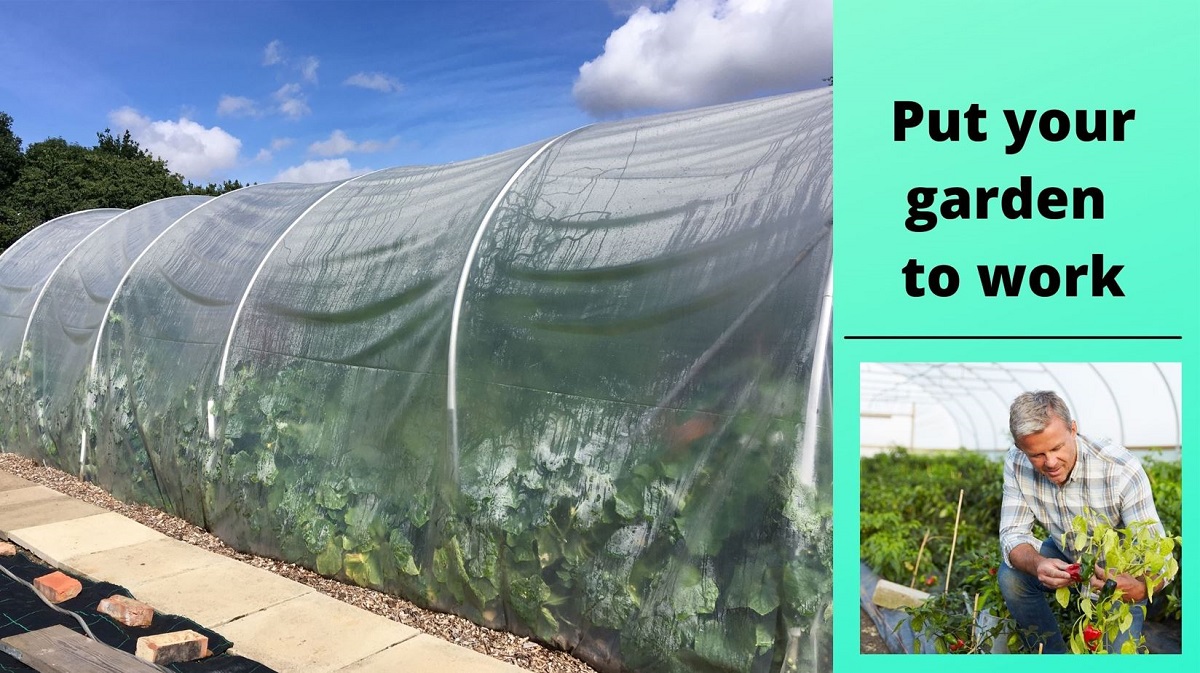 How do polytunnels work?