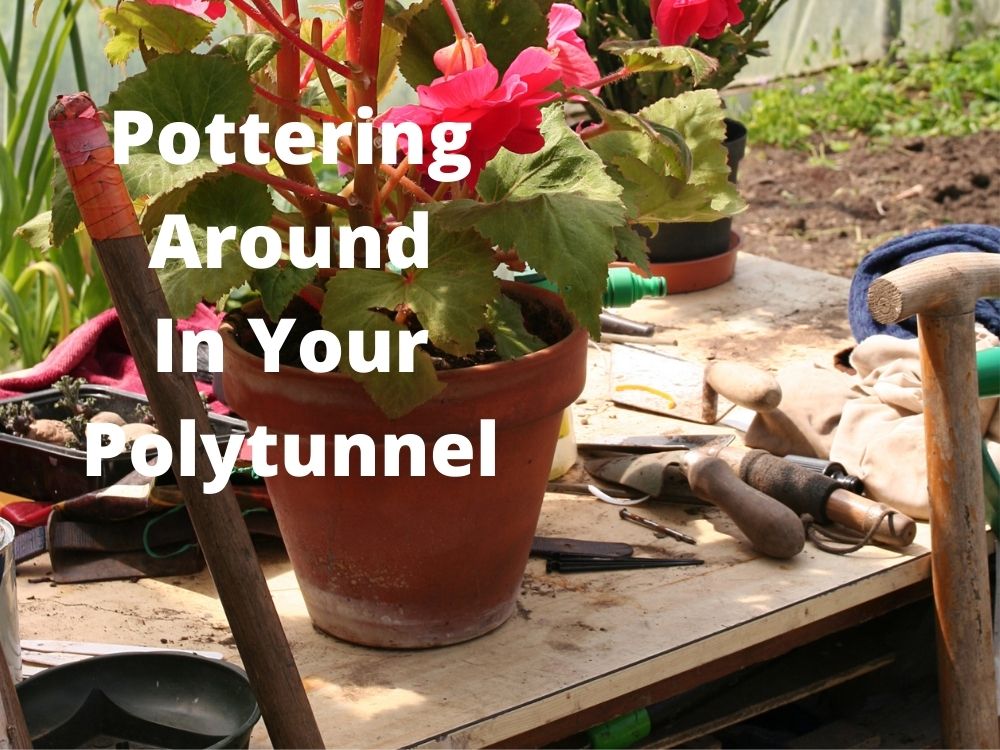 5 ways to improve your polytunnel