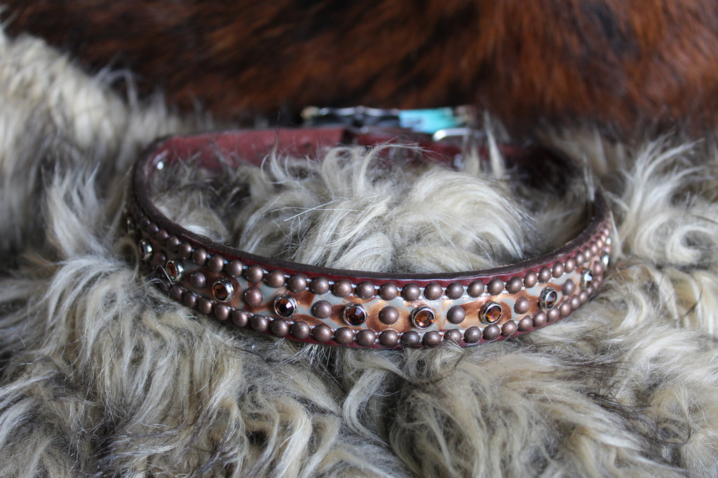 copper dog collar