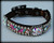 Paisley Dog Collar 10-21"