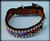 Sugar Skull Dog Collar 10-21"