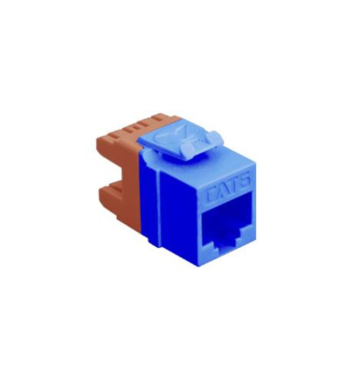 ICC MODULE- CAT 6- HD- BLUE