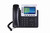 Enterprise IP Telephone