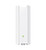 AX3000 Indoor/Outdoor Dual-Band Wi-Fi AP