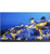 RAPTOR 3 dvLED AIO 180'' Display