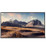 DS 75" Non-Touch LCD Display, 4K