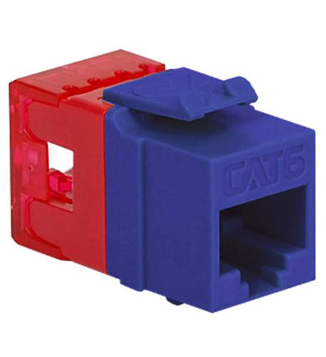 ICC MODULE- CAT 6- HD- PURPLE