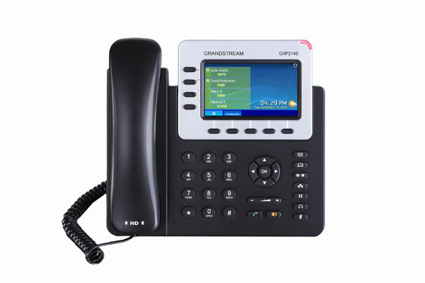 Enterprise IP Telephone