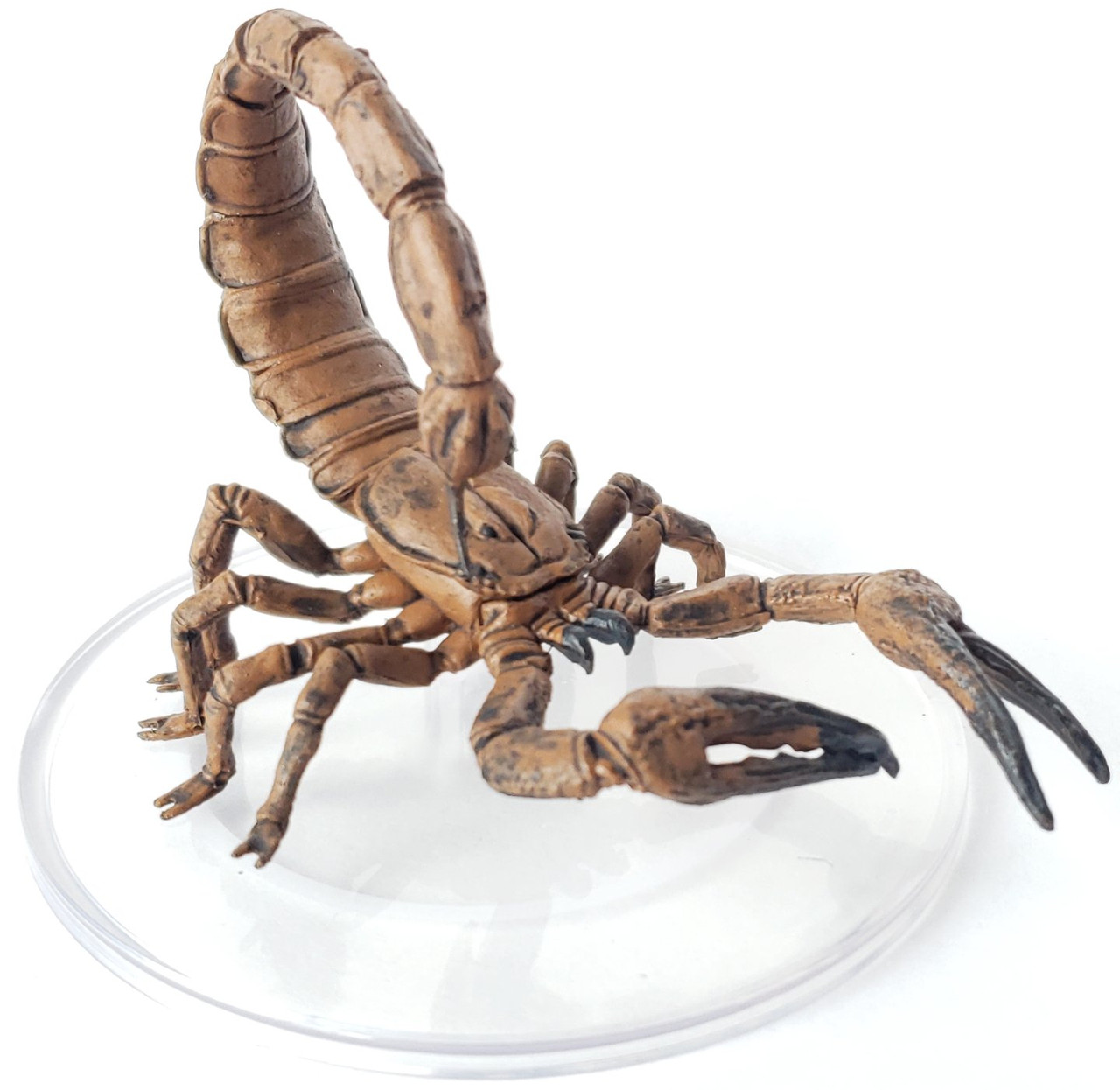 Giant Scorpion - 2 Variations de Epic Miniatures pour donjon & dragon,  warhammer et autres jeux de rôles