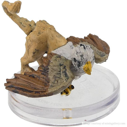 Griffon Hatchling Dungeons & Dragons miniature from the Icons of the Realms Snowbound set.