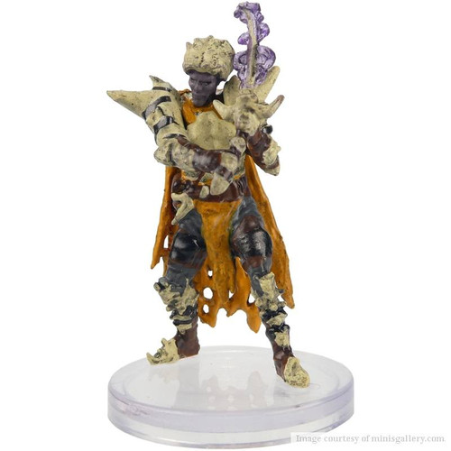 Doomguard Doom Lord miniature from Dungeons & Dragons Icons of the Realms: Planescape Adventures in the Multiverse set.