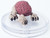Intellect Devourer miniature from Dungeons & Dragons Icons of the Realms Adventures From Baldur's Gate set.