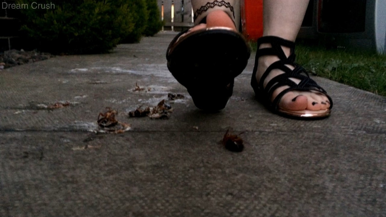 Barefoot Insect Crush Barefoot Insect Crush