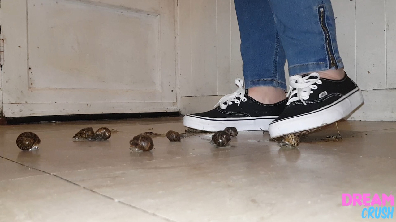 vans crush vans crush
