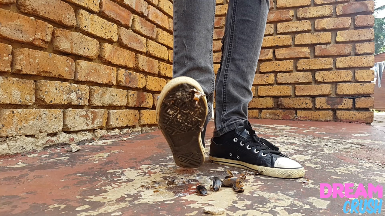 Converse crunch Outlet