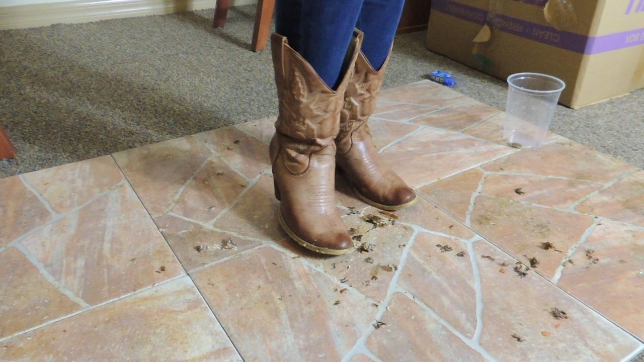 Boots Crush Bugs Boots Crush Bugs