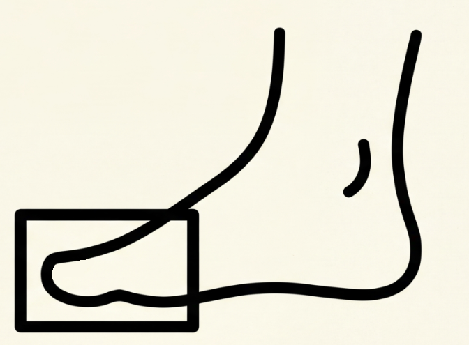 Barefoot [Toes]