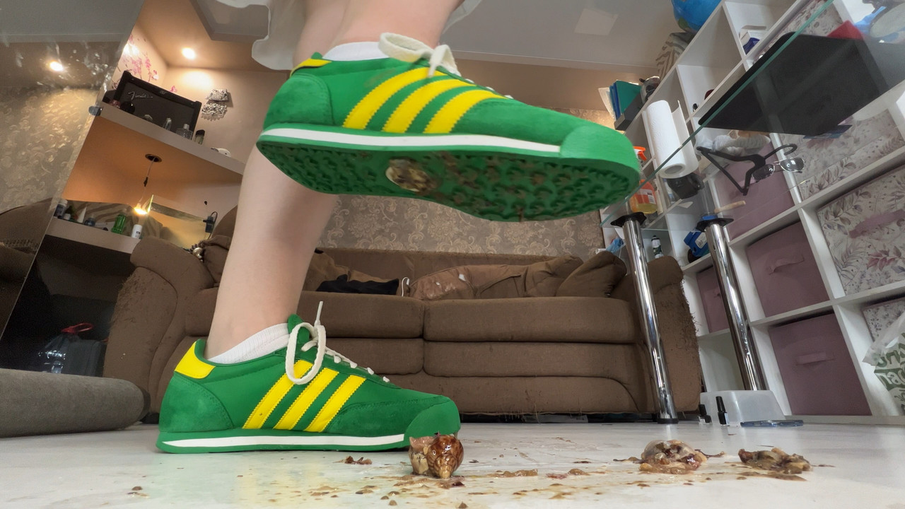 Snails