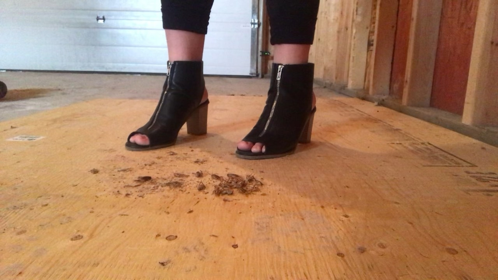 Classy Crushing Dream Crush