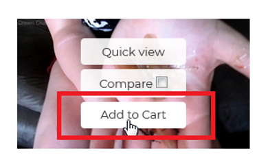 Update #2 - Adding to Cart