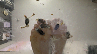 Underglass Roach 21