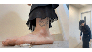 4̶0̶ ̶M̶i̶n̶u̶t̶e̶ One Hour Mushfest 4