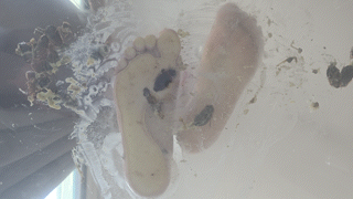 Barbara's Bash Underglass