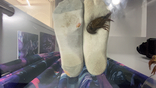 Stinky Sock Squish 2