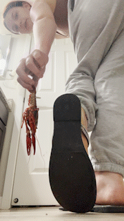 Sandal Crunchess 2