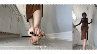Barefoot Hegemony 8