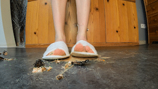 Slipper Smunch 7