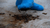 Blue Soxx