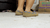 Moccasin Crushing Again