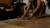 Splitting Shells [Ground View]