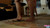 Splitting Shells [Ground View]