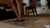 Splitting Shells [Ground View]