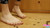 Delicate Deadly Destruction Part 2 [Close] 1080p - CF8989