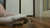 Sock and Barefoot Smush