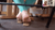 Under the Desk Squish 2