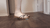 Sandal Small Squish